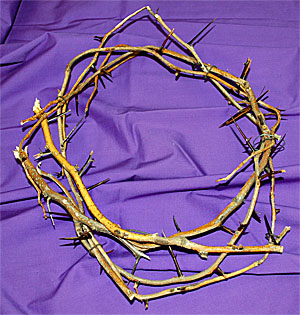 crown of thorns